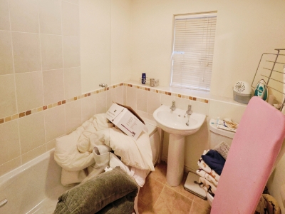 Picture 11